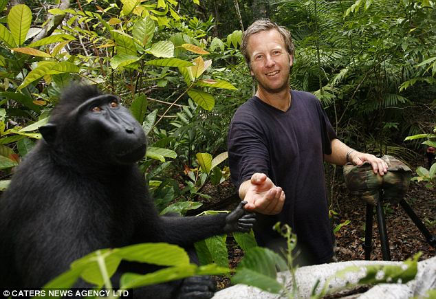 Macaco autore della Foto Macaco autore della Foto