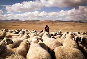 Viaggio fotografico Armenia Pastori nomadi